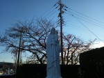 DSC_1045.JPG